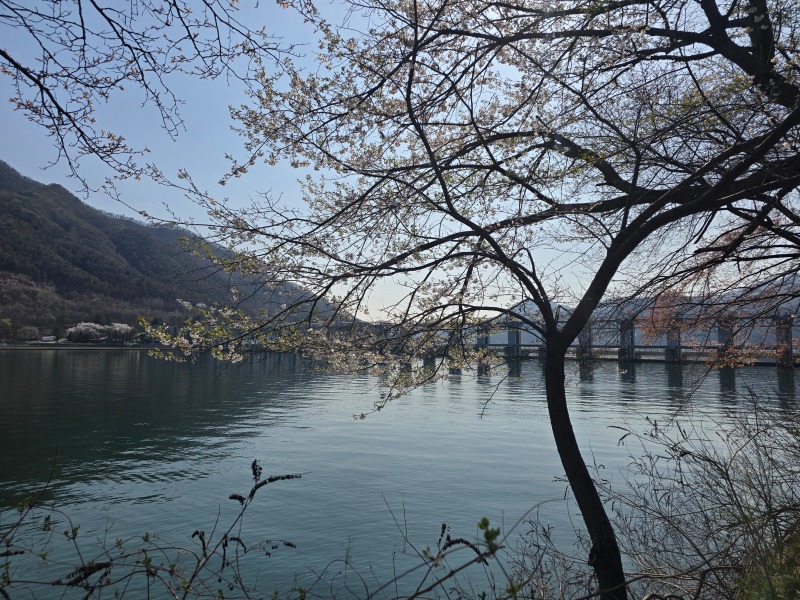 KakaoTalk_20250412_124759127_07.jpg