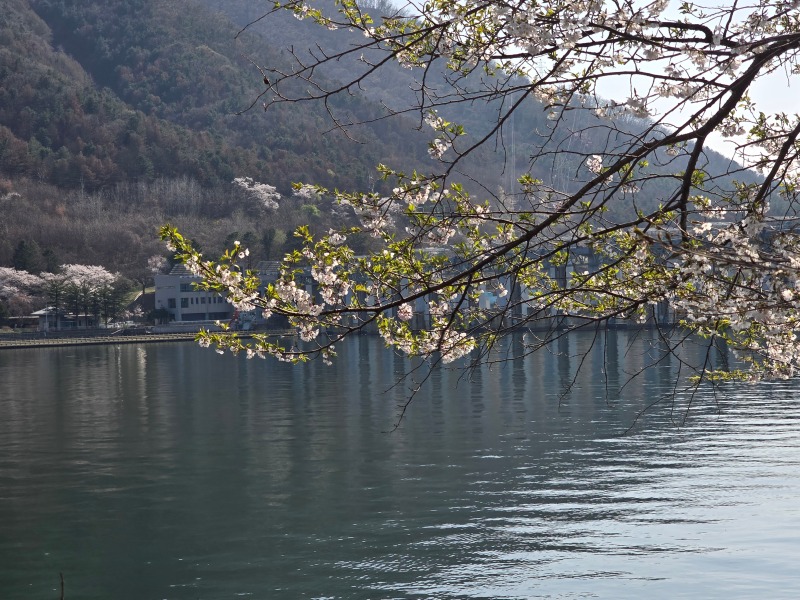 KakaoTalk_20250412_124759127_06.jpg