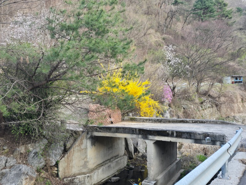 KakaoTalk_20250412_124737237_03.jpg